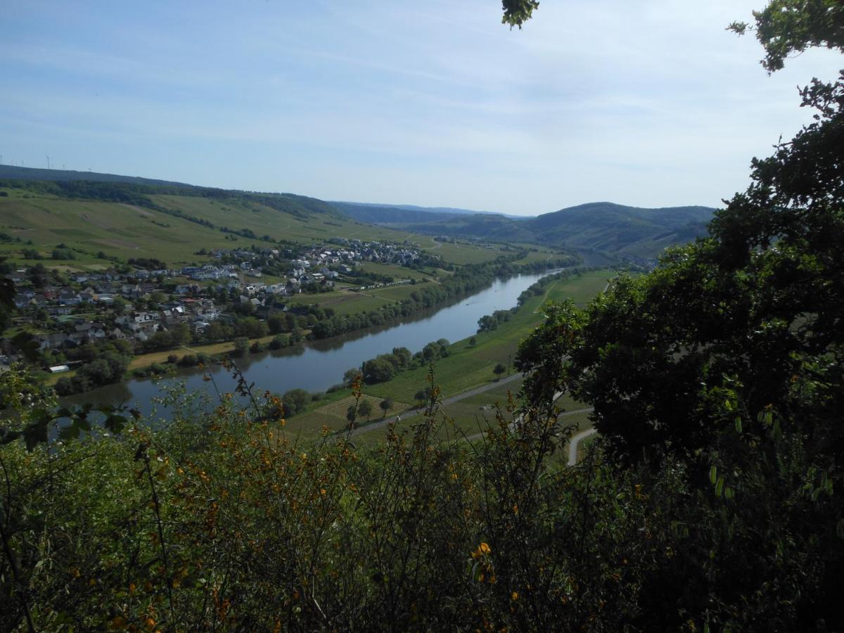 Ferienhaus Mosel Vila Brauneberg Exterior foto