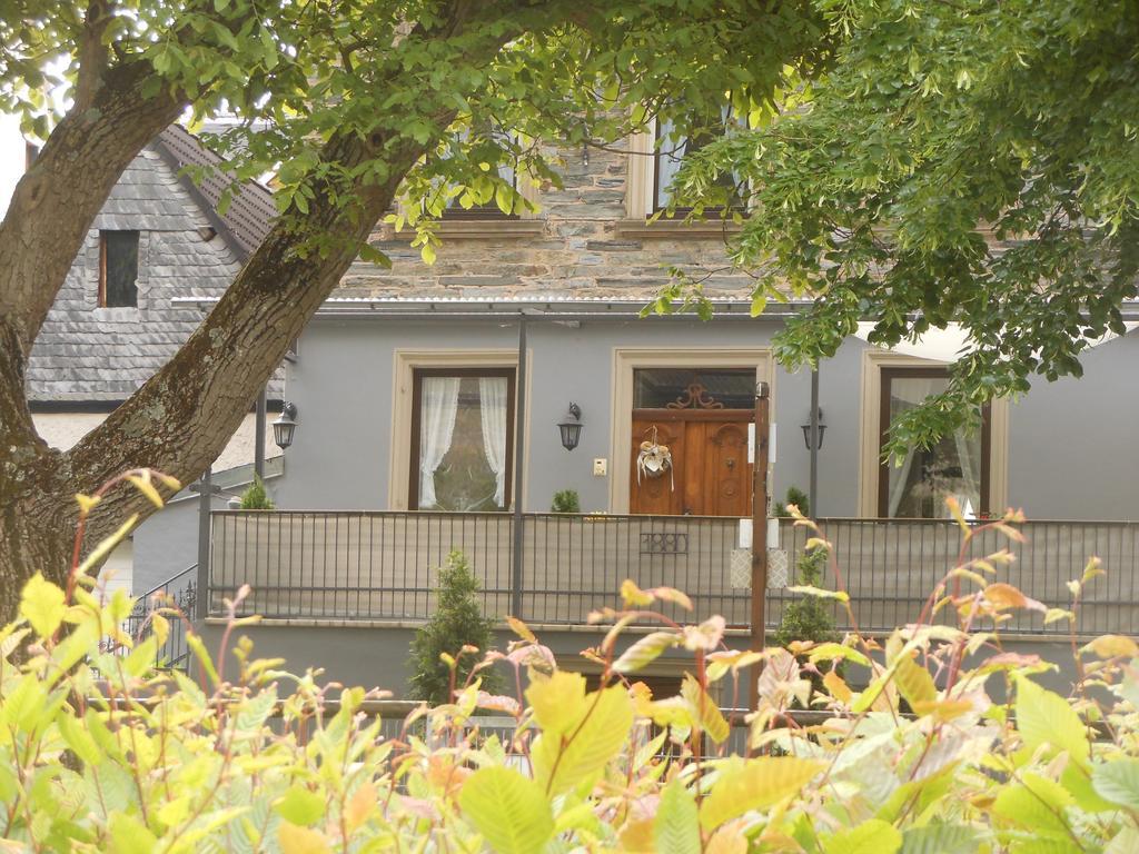Ferienhaus Mosel Vila Brauneberg Exterior foto