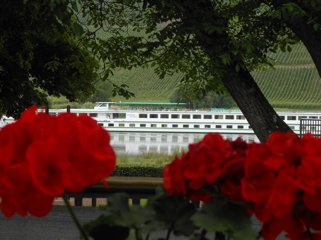 Ferienhaus Mosel Vila Brauneberg Exterior foto
